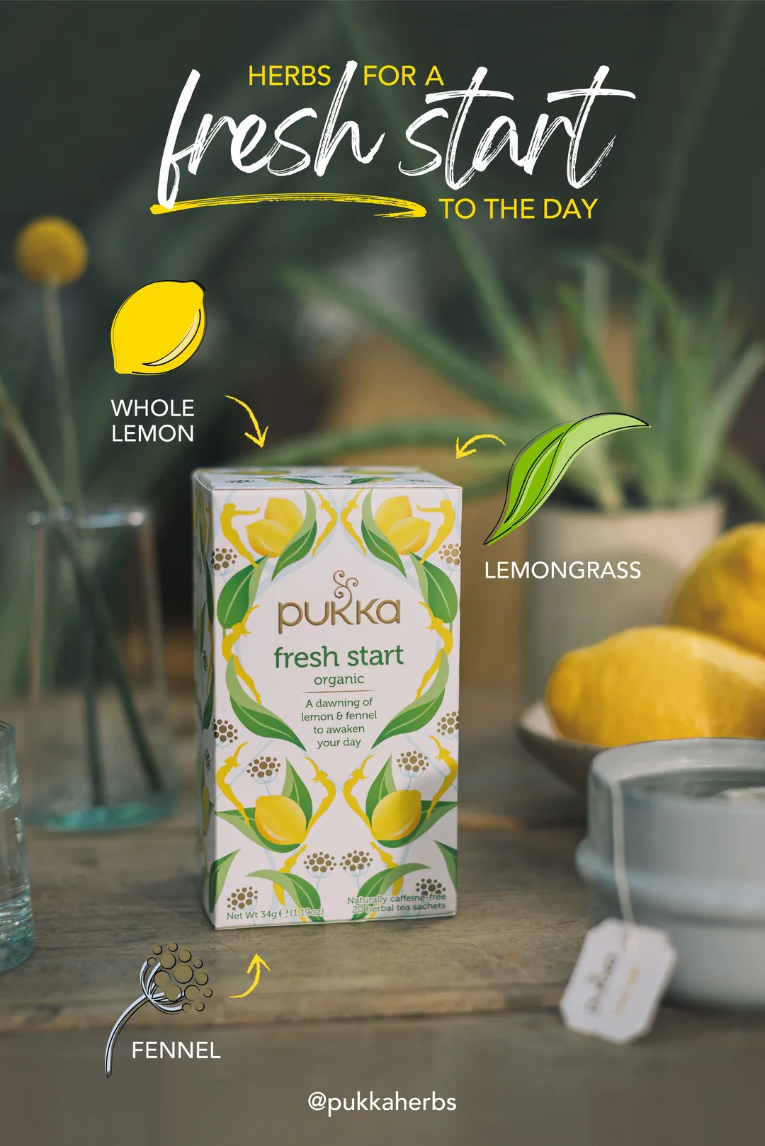 Pukka tea: natural ingredients layout